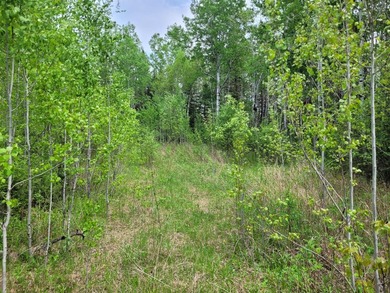 Looking for hunting land? Land to play on? Land to build on? - photo 9