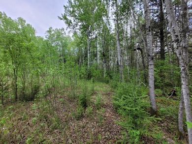 Looking for hunting land? Land to play on? Land to build on? - photo 10