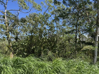 Steam vent property - Rare opportunity to own approximately 13.4 - photo 22