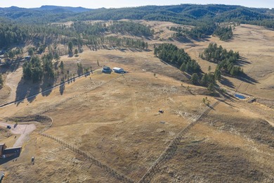 (private lake, pond, creek) Acreage For Sale in Hill City South Dakota