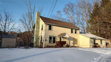 Lake Home For Sale in Hancock, New York