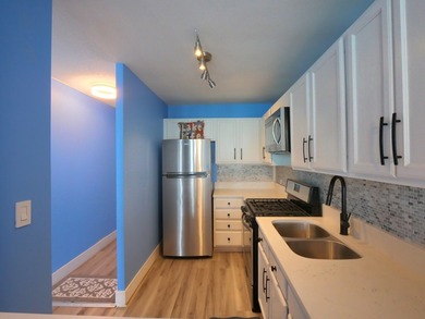 Lake Michigan - Cook County Condo For Sale in Chicago Illinois