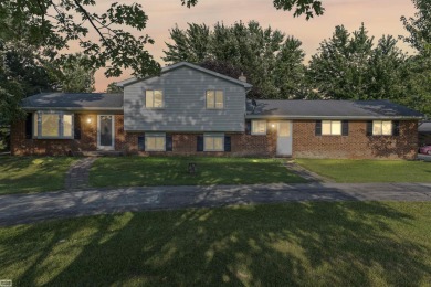 Lake Home For Sale in Riley, Michigan