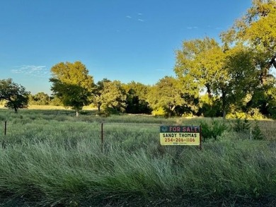 (private lake, pond, creek) Acreage For Sale in Iredell Texas