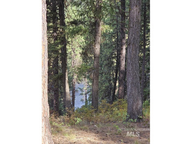 A CREEK RUNS THROUGH IT and you'll have a close-up view of the - photo 4