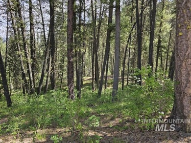 A CREEK RUNS THROUGH IT and you'll have a close-up view of the - photo 5