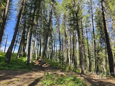 A CREEK RUNS THROUGH IT and you'll have a close-up view of the - photo 9