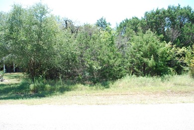 White Bluff Resort is a 24-7 gated POA community nestled on the - photo 1