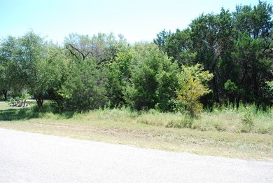 White Bluff Resort is a 24-7 gated POA community nestled on the - photo 5
