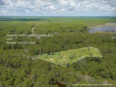 1 acre lot in New River Run! Just a few short minutes from - photo 2