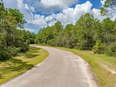 1 acre lot in New River Run! Just a few short minutes from - photo 7