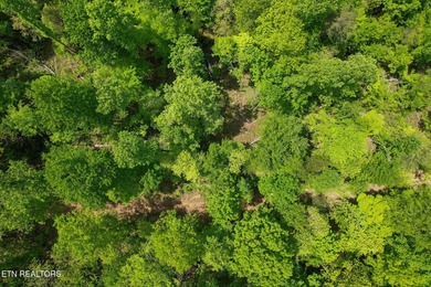 A rare gem awaits in the heart of the Big Creek area, boasting - photo 11