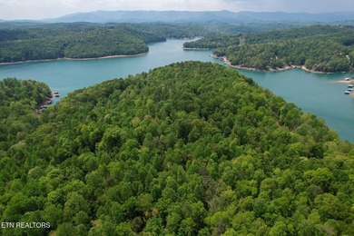 A rare gem awaits in the heart of the Big Creek area, boasting - photo 13