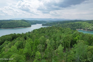 A rare gem awaits in the heart of the Big Creek area, boasting - photo 15
