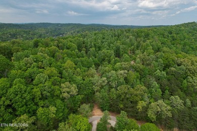 A rare gem awaits in the heart of the Big Creek area, boasting - photo 16
