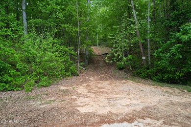 A rare gem awaits in the heart of the Big Creek area, boasting - photo 18