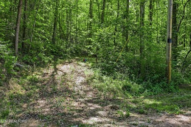 A rare gem awaits in the heart of the Big Creek area, boasting - photo 19