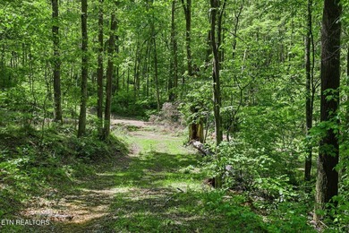 A rare gem awaits in the heart of the Big Creek area, boasting - photo 20