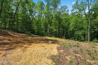 A rare gem awaits in the heart of the Big Creek area, boasting - photo 21