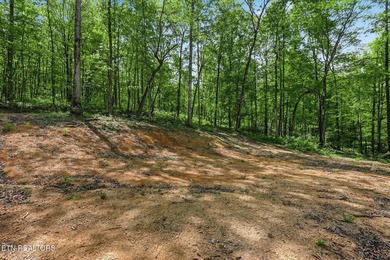 A rare gem awaits in the heart of the Big Creek area, boasting - photo 22