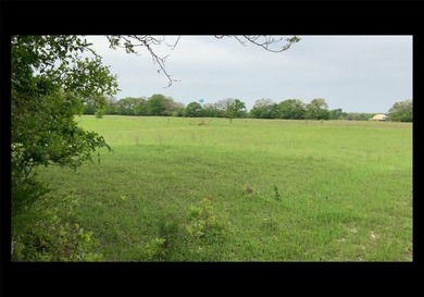 Highlights: - over 35 acres of gently rolling pastureland - photo 3