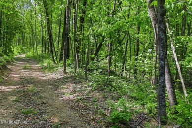 A rare gem awaits in the heart of the Big Creek area, boasting - photo 24