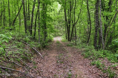 A rare gem awaits in the heart of the Big Creek area, boasting - photo 25