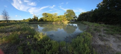 Highlights: - over 35 acres of gently rolling pastureland - photo 5
