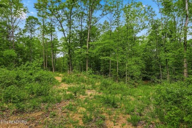 A rare gem awaits in the heart of the Big Creek area, boasting - photo 26