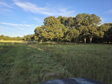 Highlights: - over 35 acres of gently rolling pastureland - photo 6