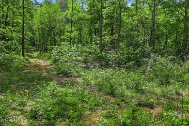 A rare gem awaits in the heart of the Big Creek area, boasting - photo 27