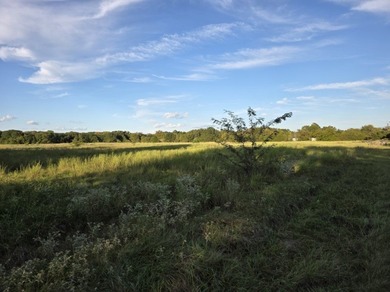 Highlights: - over 35 acres of gently rolling pastureland - photo 7