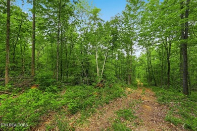 A rare gem awaits in the heart of the Big Creek area, boasting - photo 28