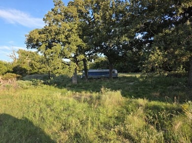 Highlights: - over 35 acres of gently rolling pastureland - photo 8