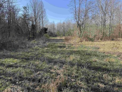 This unique parcel lies within the heart of Perry County and - photo 29