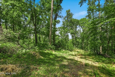 A rare gem awaits in the heart of the Big Creek area, boasting - photo 29