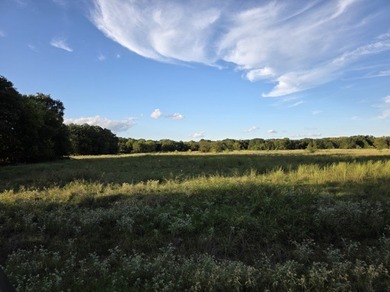 Highlights: - over 35 acres of gently rolling pastureland - photo 9