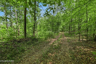 A rare gem awaits in the heart of the Big Creek area, boasting - photo 30