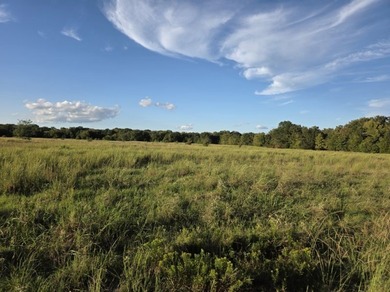 Highlights: - over 35 acres of gently rolling pastureland - photo 10