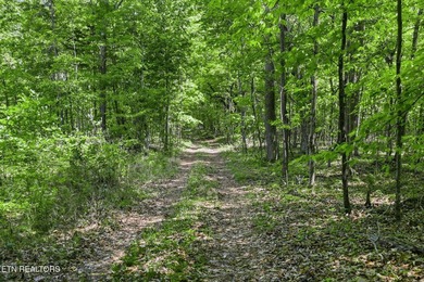A rare gem awaits in the heart of the Big Creek area, boasting - photo 31