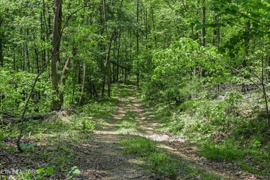 A rare gem awaits in the heart of the Big Creek area, boasting - photo 32