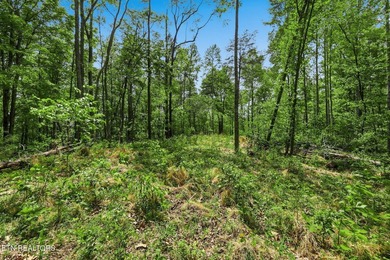 A rare gem awaits in the heart of the Big Creek area, boasting - photo 33