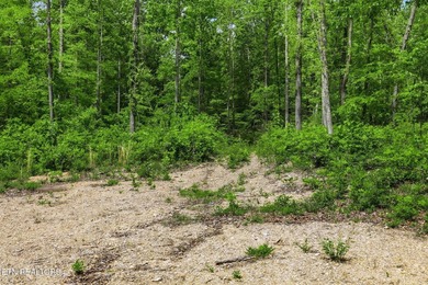 A rare gem awaits in the heart of the Big Creek area, boasting - photo 34