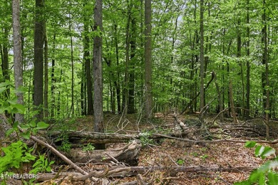 A rare gem awaits in the heart of the Big Creek area, boasting - photo 36