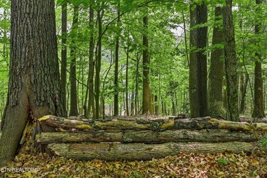 A rare gem awaits in the heart of the Big Creek area, boasting - photo 37