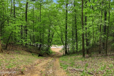 A rare gem awaits in the heart of the Big Creek area, boasting - photo 38