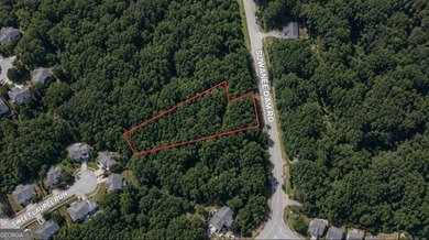 Discover an exceptional opportunity to own 1.24 acres in the - photo 3