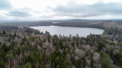 Bog Lake Acreage For Sale in Northfield Maine