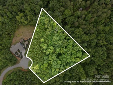 Lake Lot For Sale in Lake Lure, North Carolina