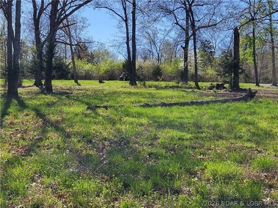 Own a prime piece of lakefront property at Lake of the Ozarks! - photo 2